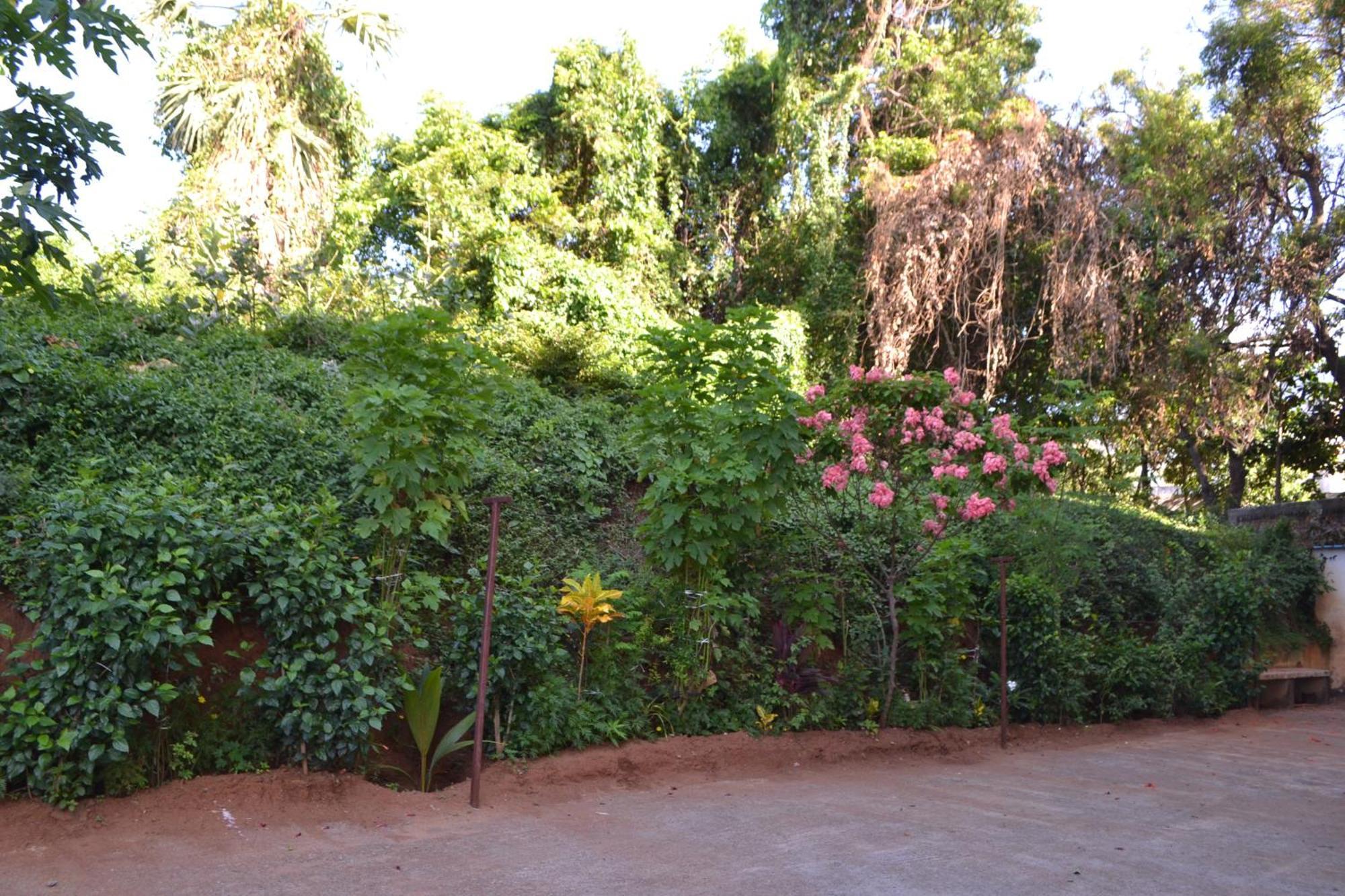 Yuga Guest House Kuttālam 외부 사진
